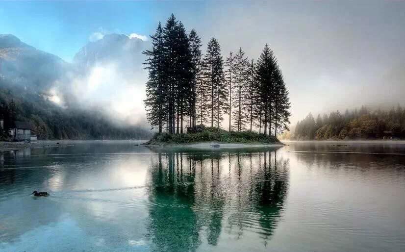 最美禅诗一百首 极力推荐收藏