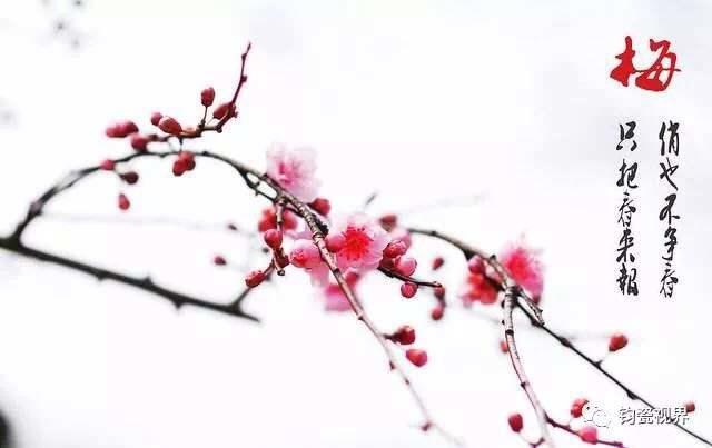 最美禅诗一百首 极力推荐收藏