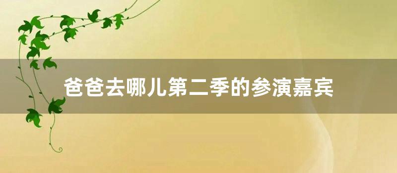 爸爸去哪儿第二季的参演嘉宾 (爸爸去哪儿第二季最后一期怎么没有了)