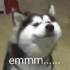 龙之谷背景故事介绍杰兰特传