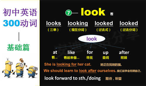 look的过去式和用法例句 look的过去式