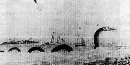 深海中十大最恐怖的生物