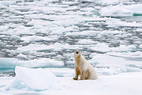 中国海外最大的 飞地 面积6000平方千米 民众可自由出入