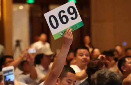 中国花瓶拍得6300万