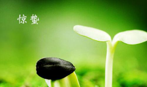惊蛰节气的含义是什么