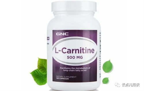 左旋肉碱哪款效果最好 正品左旋肉碱排行榜