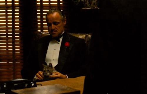 盘点八部最经典的美国黑帮电影