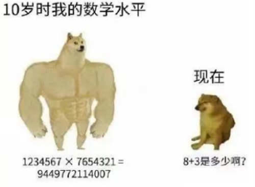 活在你表情包里的神烦狗Doge doge什么意思