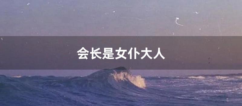 会长是女仆大人 (会长是女仆大人动漫)