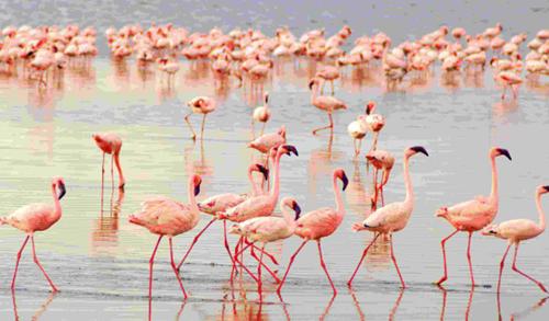 世界上最美的八大湖泊