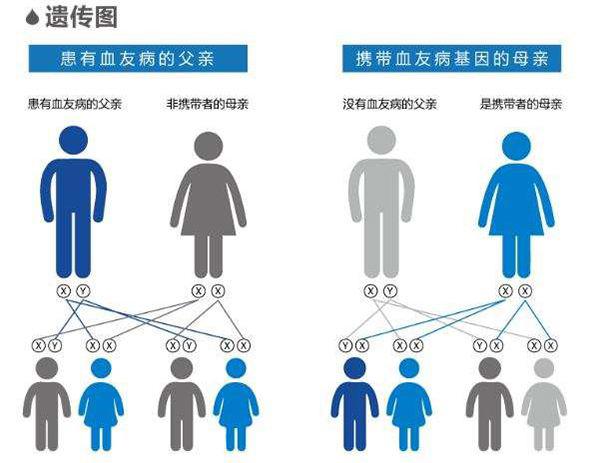 维多利亚女王和她的九个孩子