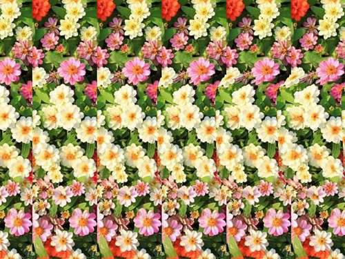 一招学会秒看三维立体图 三维立体图怎么看