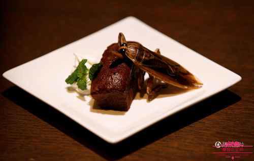 龙虱水蟑螂味道和营养价值介绍