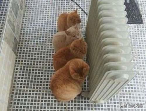 简短幽默个性自我介绍 个性简介