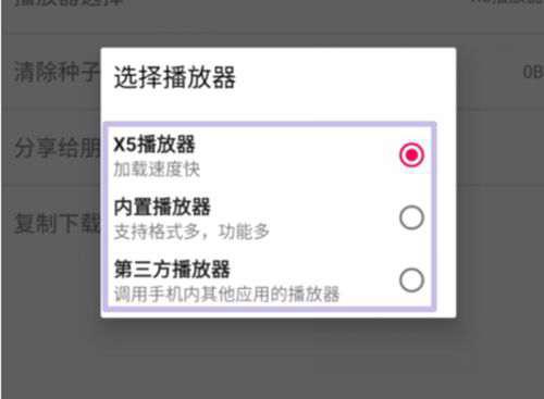 十一款磁力下载软件不限速工具合集