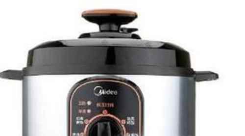 电压力锅哪个牌子好，电压力锅十大畅销排行