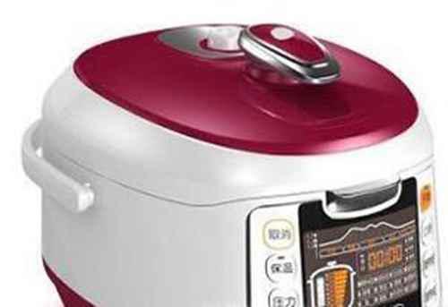 电压力锅哪个牌子好，电压力锅十大畅销排行