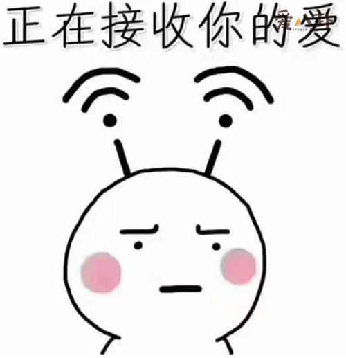 冬不冬是什么梗