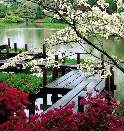 相离莫相忘，且行且珍惜！ 且行且珍惜意思