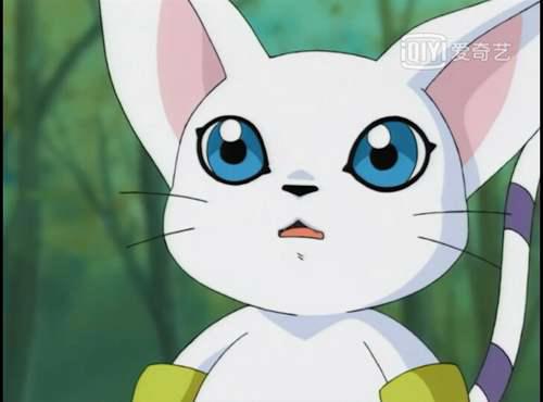 数码宝贝迪路兽的身高之谜