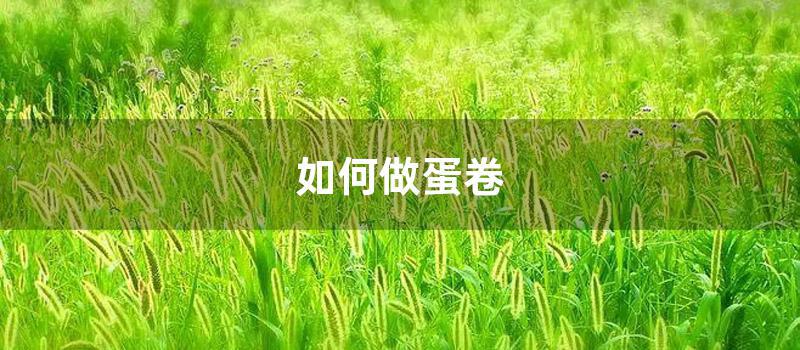 如何做蛋卷 (蛋卷肉的做法家常)