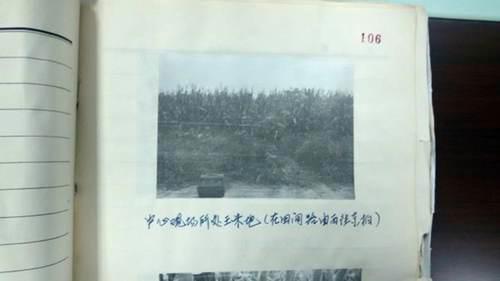 王书金死有余辜 遗憾的是 未能找出 康菊花聂树斌 案的真凶