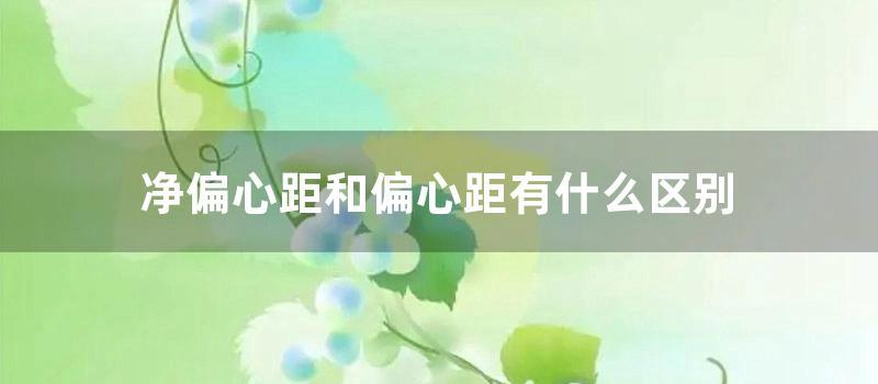 净偏心距和偏心距有什么区别 (净偏心距和偏心距有什么区别)