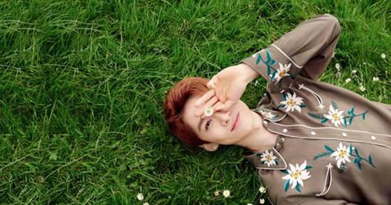 白敬亭整容了吗