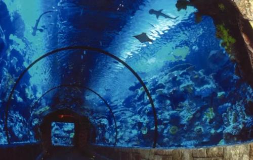 拉斯维加斯必去景点有哪些