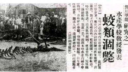 中国灵异事件记录