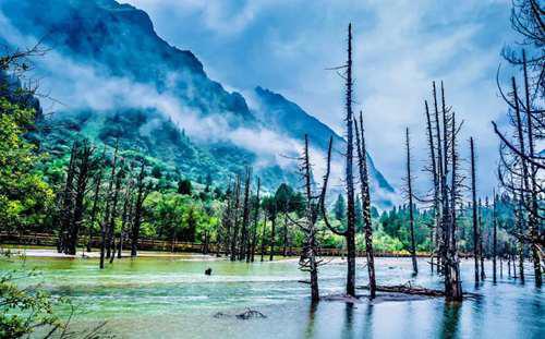 318 成都出发经典自驾游线路攻略 自驾游爱好者一生必去