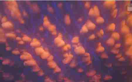 罕见自然现象乳房云之谜