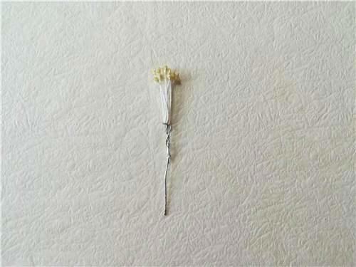 丝网花概述