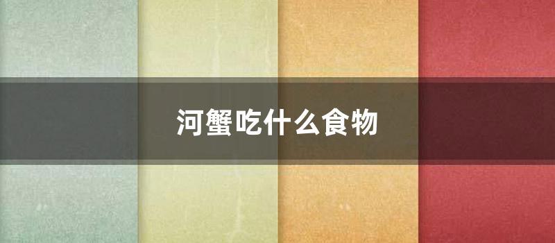 河蟹吃什么食物 (河蟹吃什么食物最好)