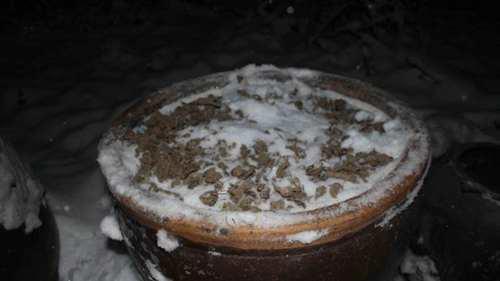 西安老膏药 马明仁膏药 的历史