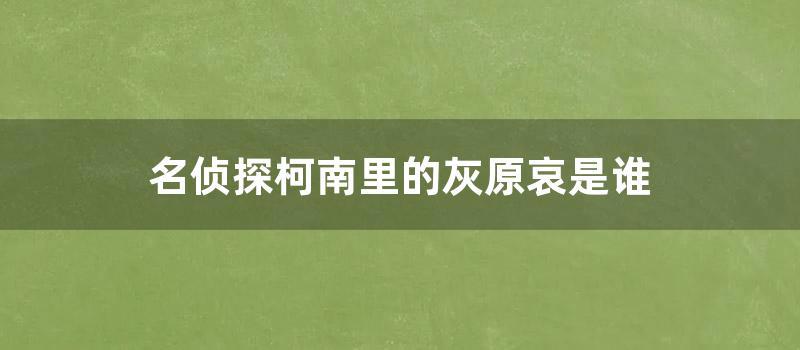 名侦探柯南里的灰原哀是谁 (名侦探柯南里的灰原哀是谁)
