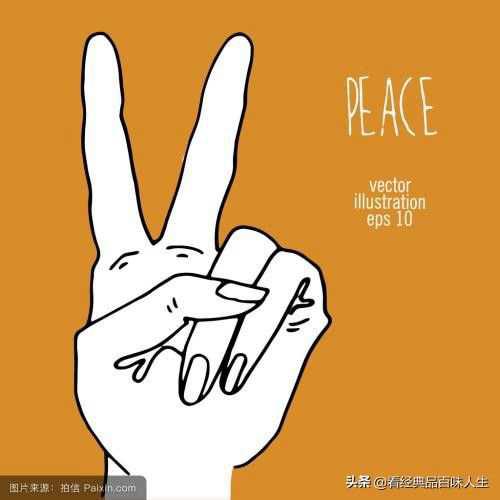 竖中指的来历与详解