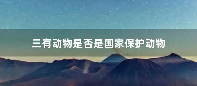 三有动物是否是国家保护动物 (三有动物是否是国家重点保护野生动物)