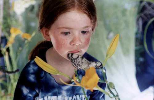 15部治愈系温暖电影