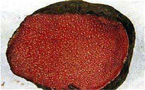 猪砂是什么东西值钱吗