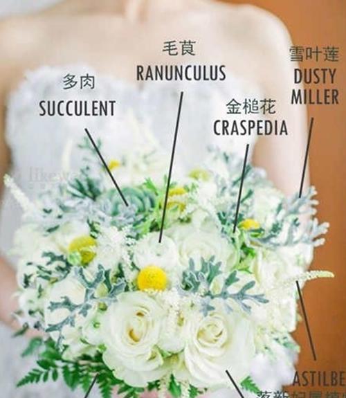 新娘为什么要拿捧花 新娘捧花由来