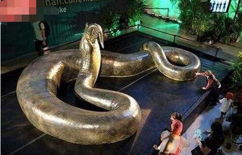 世界上最大的蛇亚马逊巨蟒