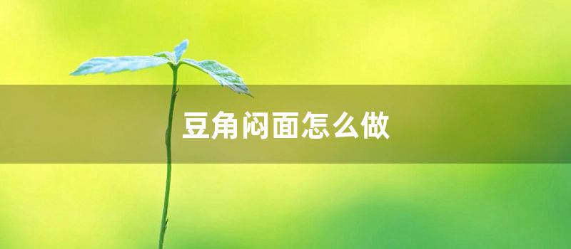 豆角闷面怎么做 (正宗豆角焖面的做法)