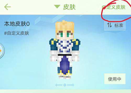 我的世界fatestaynight人物皮肤