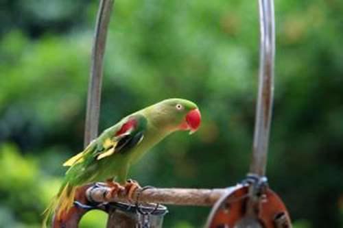 山海经 凭什么被誉为失落的天书 书中描述的异兽是否真实存在