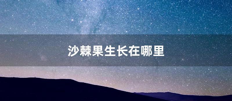 沙棘果生长在什么地方 (沙棘果哪个产地最好)