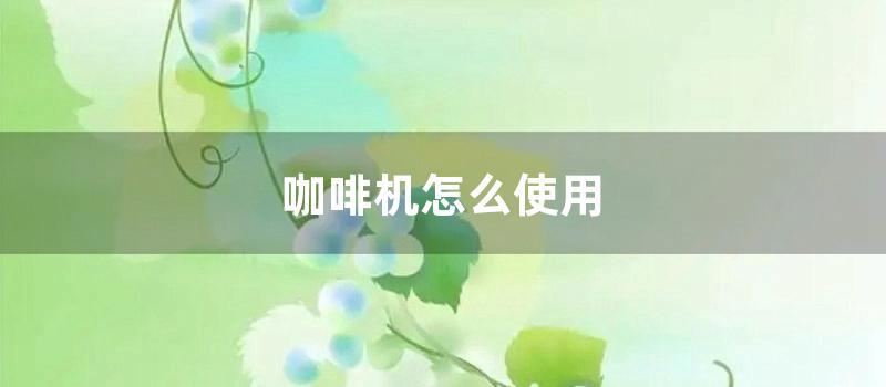 咖啡机怎么使用 (krups咖啡机怎么用)