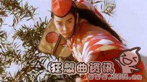 辟邪剑谱和葵花宝典是一本秘籍吗?