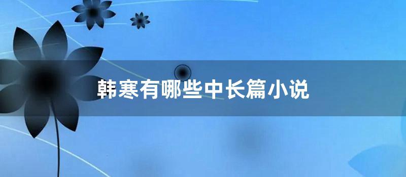 韩寒有哪些中长篇小说