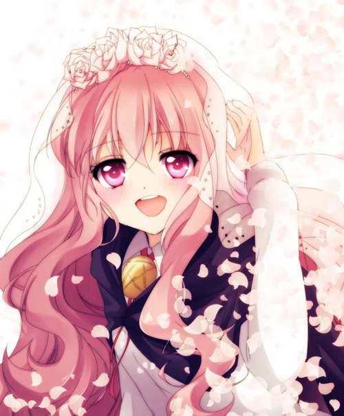 钉宫四萌 露易丝篇